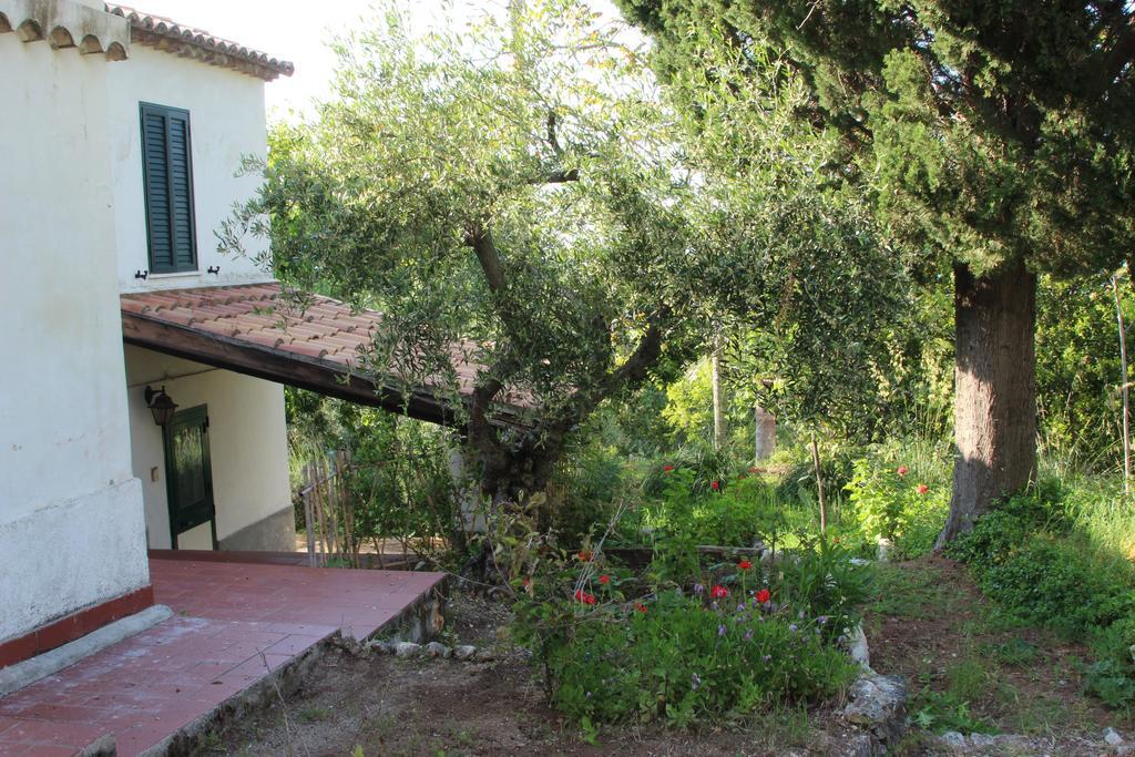 Tenuta Conte Ruggero Santa Domenica  Rum bild